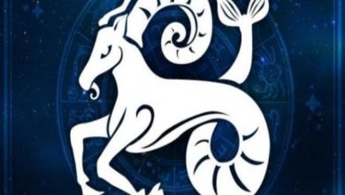 برج الجدي ورؤيته لشريك الحياة المثالي وبناء علاقة مستقرة طويلة الأمد