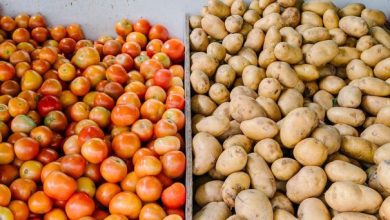 تعرف على أسعار الخضار والفواكه في السوق المركزي اليوم...