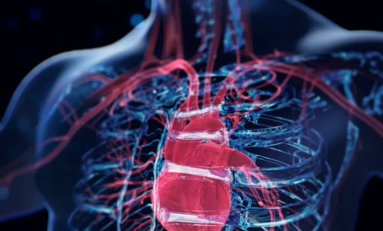 تفسير جديد لأمراض القلب الوراثية