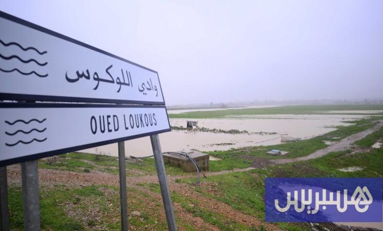 توقعات طقس اليوم الأحد بالمغرب