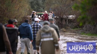 جهود ميدانية لحماية "أولاد حسين"