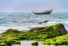 دليلك للسياحة في صلالة لعطلة لا تنسى مع العائلة والأصدقاء