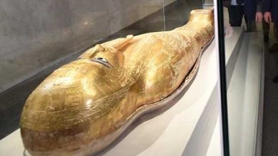 علماء يعيدون إحياء عطر مومياء مصرية عمرها 3500 عام