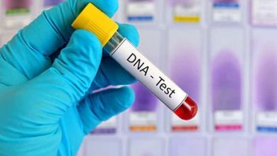لتحديد نسبه.. النيابة تستعجل تحليل الـDNA للطفل المخطوف منذ 11 عامًا من مستشفى في الإسكندرية