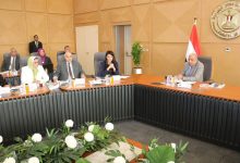 محمود عصمت: تنفيذ مشروعات دعم وتطوير وتحديث شبكة نقل الكهرباء لاستيعاب القدرات المضافة من الطاقات المتجددة