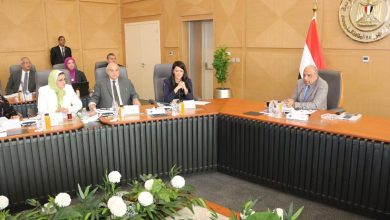 محمود عصمت: تنفيذ مشروعات دعم وتطوير وتحديث شبكة نقل الكهرباء لاستيعاب القدرات المضافة من الطاقات المتجددة