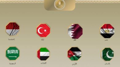 مصر و7 دول عربية وإسلامية تدين انتهاكات إسرائيل المتكررة لوقف إطلاق النار في غزة