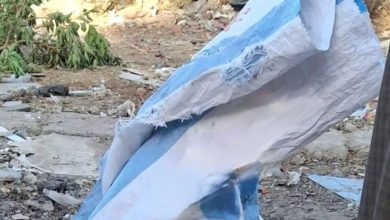 مفتش صحة بالمنيا عن واقعة العثور على أجنة في كيس قمامة: قد تستخدم في الشعوذة