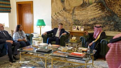 نائب وزير الخارجية يستقبل ممثل حلف "الناتو" ووفدًا من مجلس الشيوخ الفرنسي