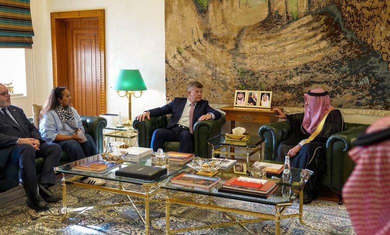 نائب وزير الخارجية يستقبل ممثل حلف "الناتو" ووفدًا من مجلس الشيوخ الفرنسي