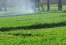 وزيرة التنمية المحلية والبيئة توجه باتخاذ الإجراءات القانونية حيال مخالفة حرق مكشوف للمخلفات الزراعية بالشرقية