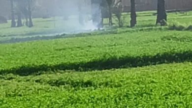 وزيرة التنمية المحلية والبيئة توجه باتخاذ الإجراءات القانونية حيال مخالفة حرق مكشوف للمخلفات الزراعية بالشرقية